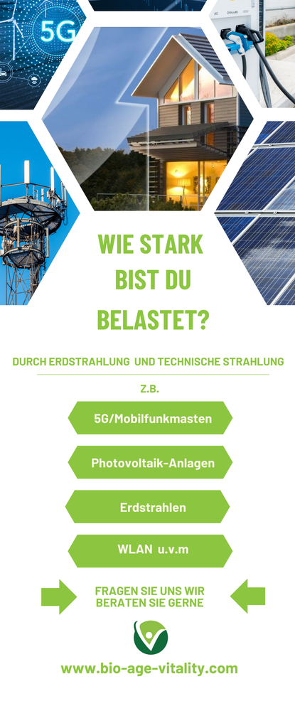 Roll Up Variante 1 (85 x 200 cm)