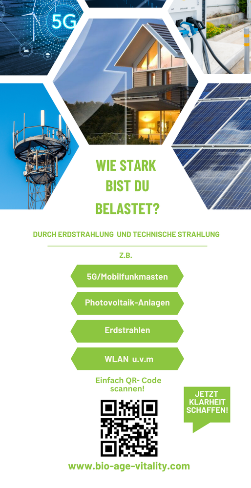 Flyer 250 Stück 10,5 x 21 cm