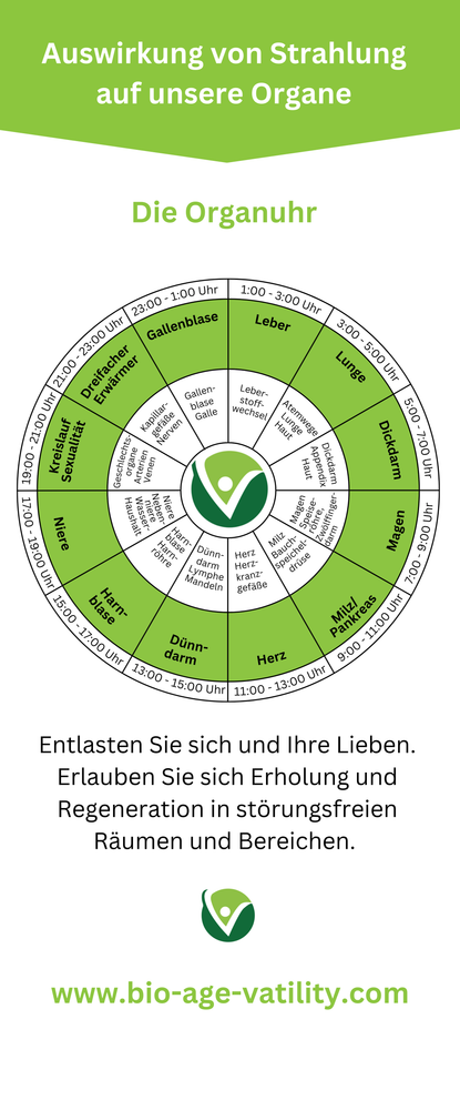Roll Up Variante 3 (85 x 200 cm)