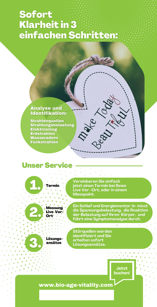 Flyer 250 Stück 10,5 x 21 cm